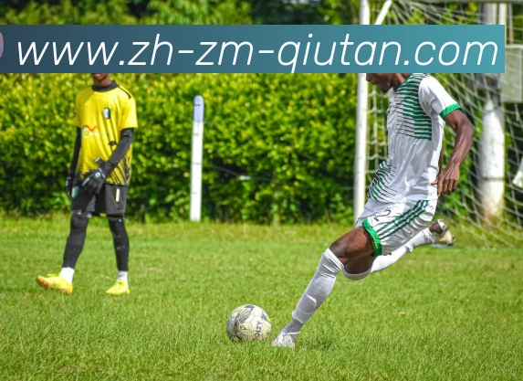 球探体育平台生态图